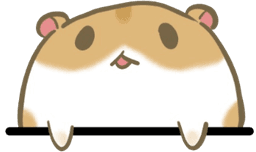 hamster
